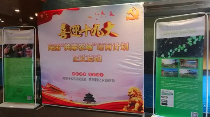 rb88随行版-rb88手机随行版登录入口