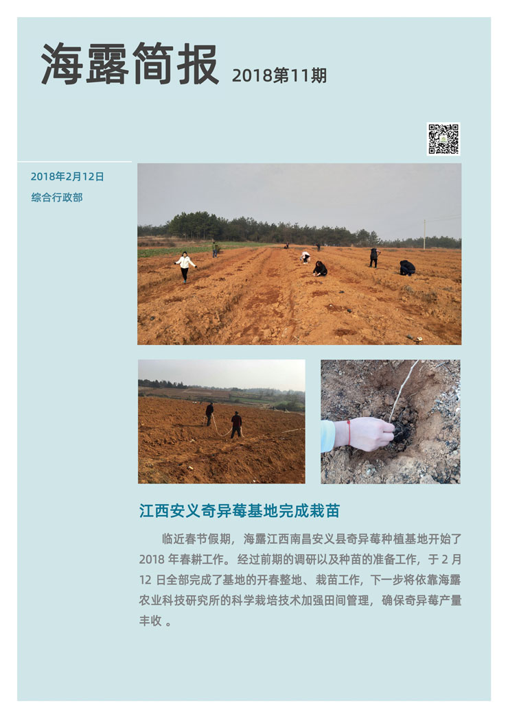 rb88随行版-rb88手机随行版登录入口