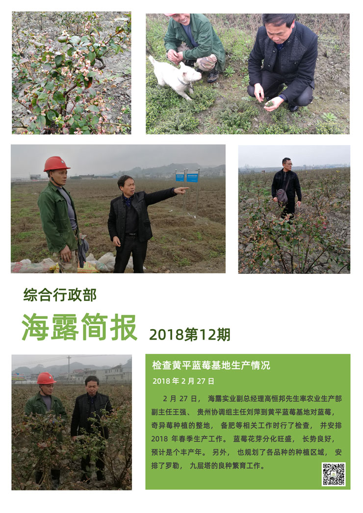 rb88随行版-rb88手机随行版登录入口