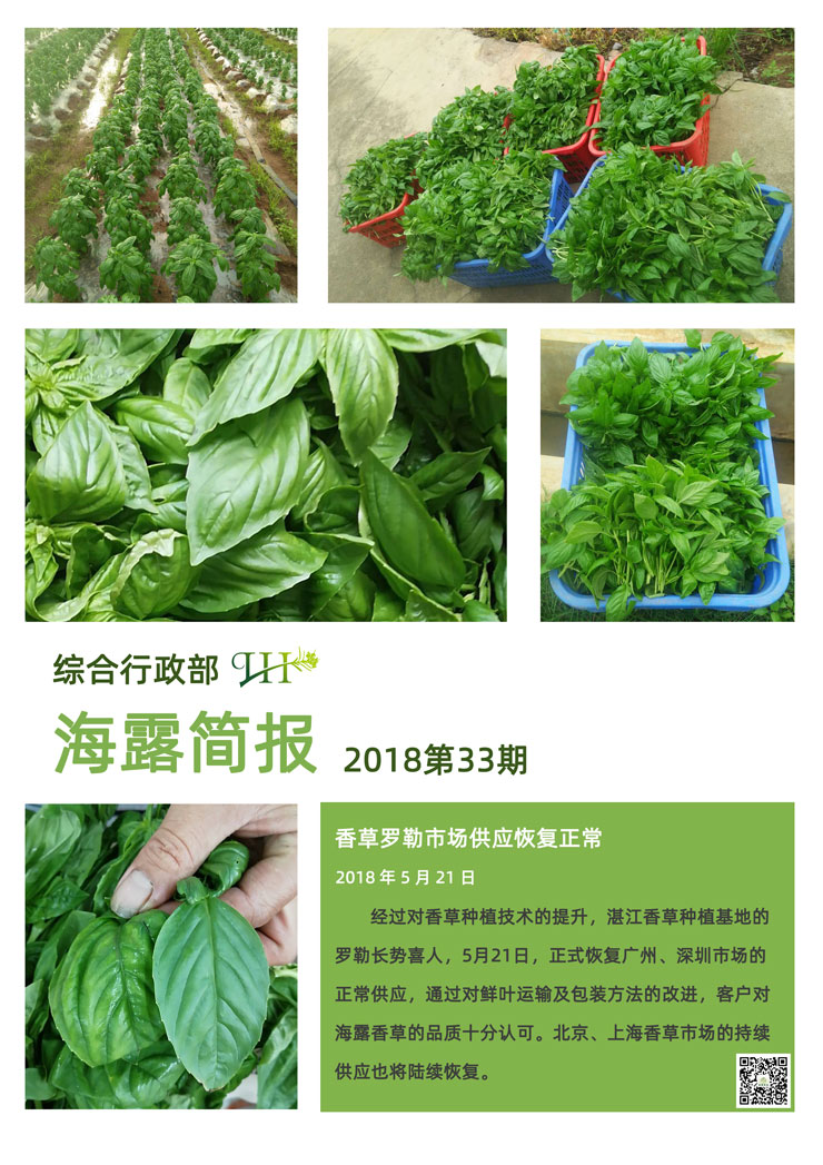 rb88随行版-rb88手机随行版登录入口