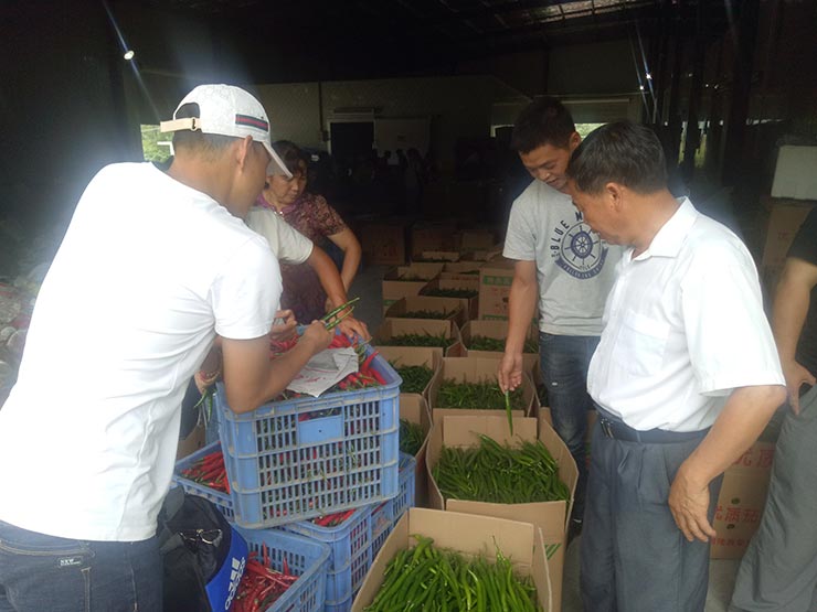 rb88随行版-rb88手机随行版登录入口