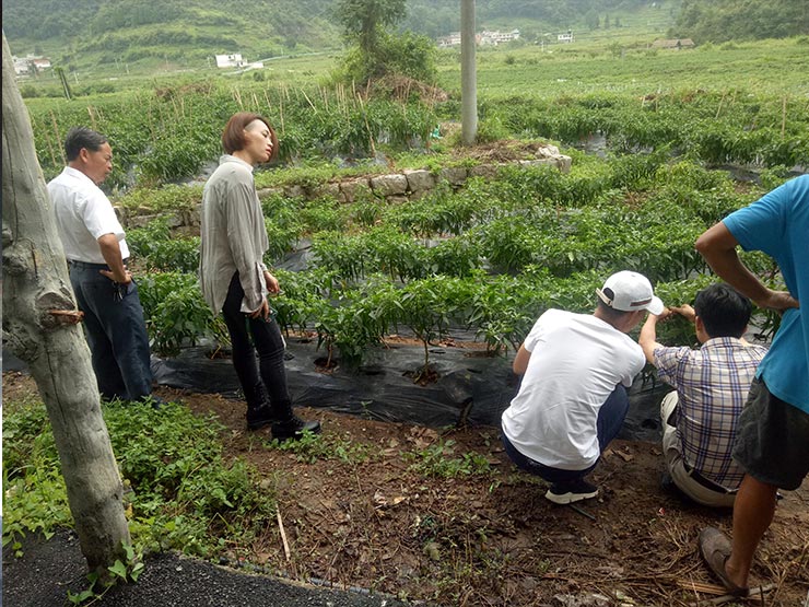 rb88随行版-rb88手机随行版登录入口