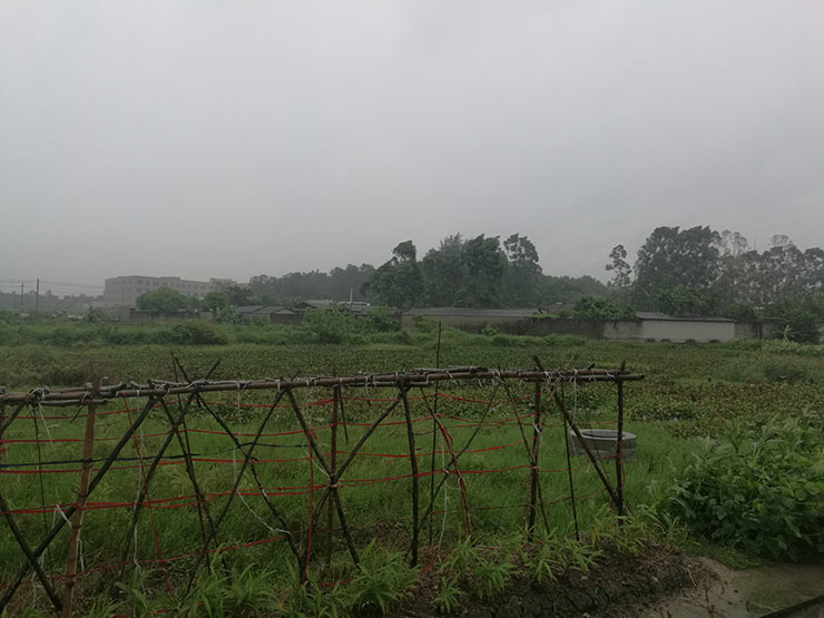 rb88随行版-rb88手机随行版登录入口