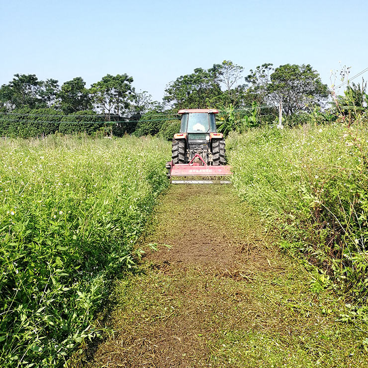 rb88随行版-rb88手机随行版登录入口