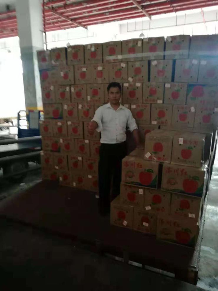 rb88随行版-rb88手机随行版登录入口