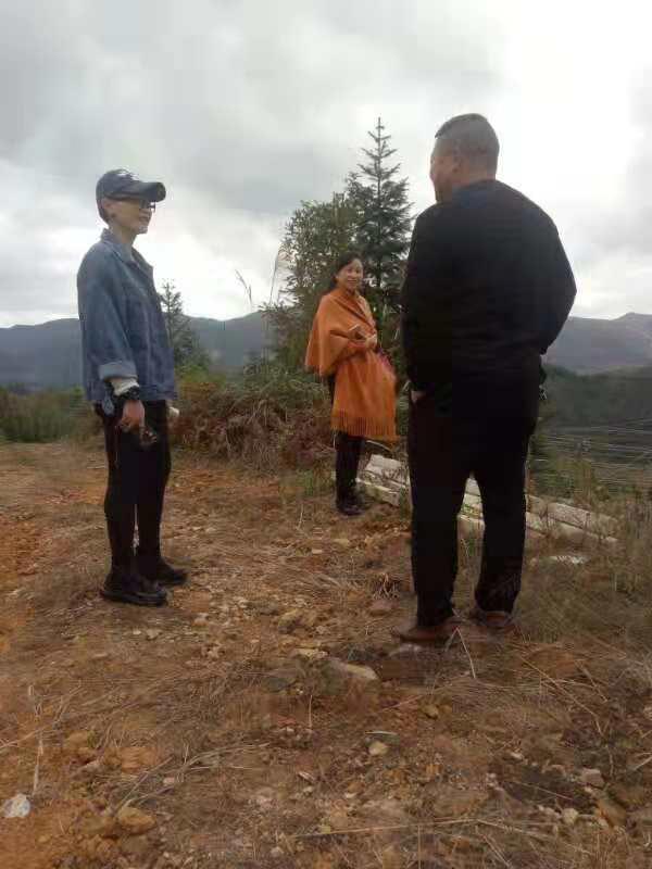 rb88随行版-rb88手机随行版登录入口