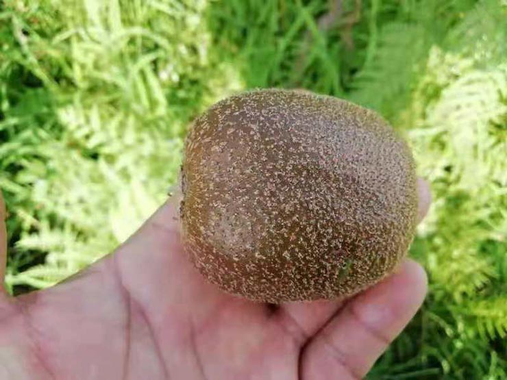 rb88随行版-rb88手机随行版登录入口