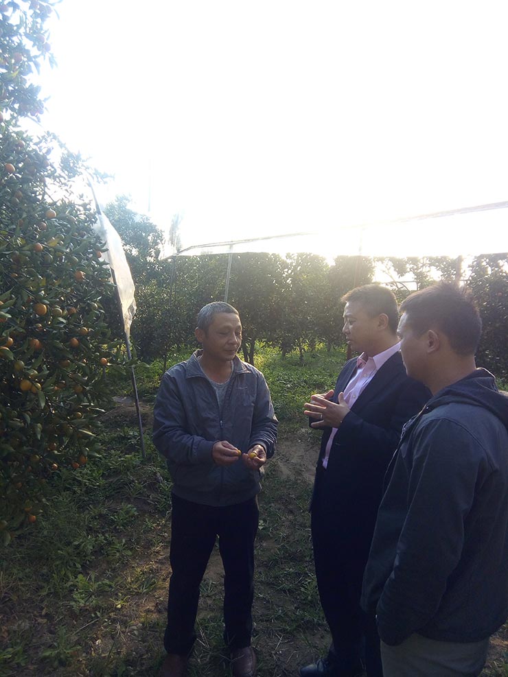 rb88随行版-rb88手机随行版登录入口