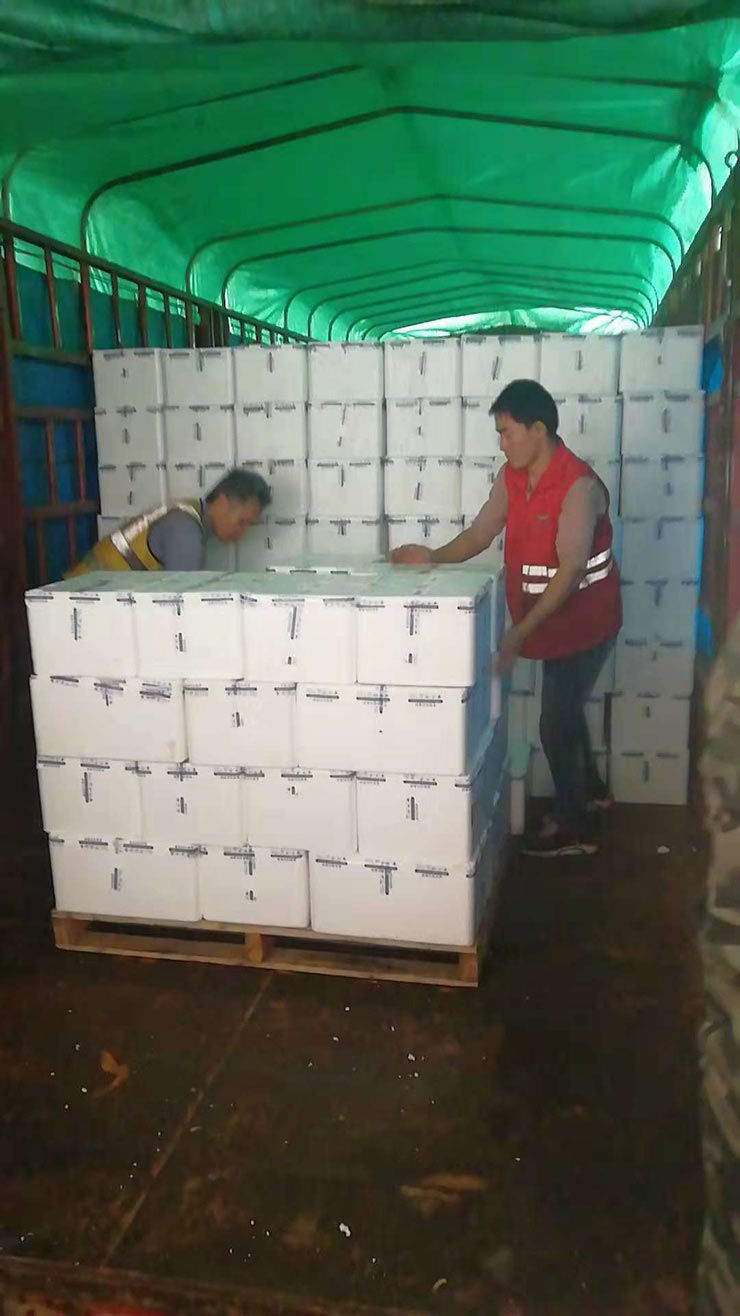 rb88随行版-rb88手机随行版登录入口