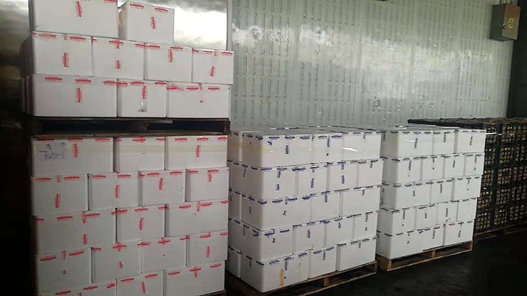 rb88随行版-rb88手机随行版登录入口