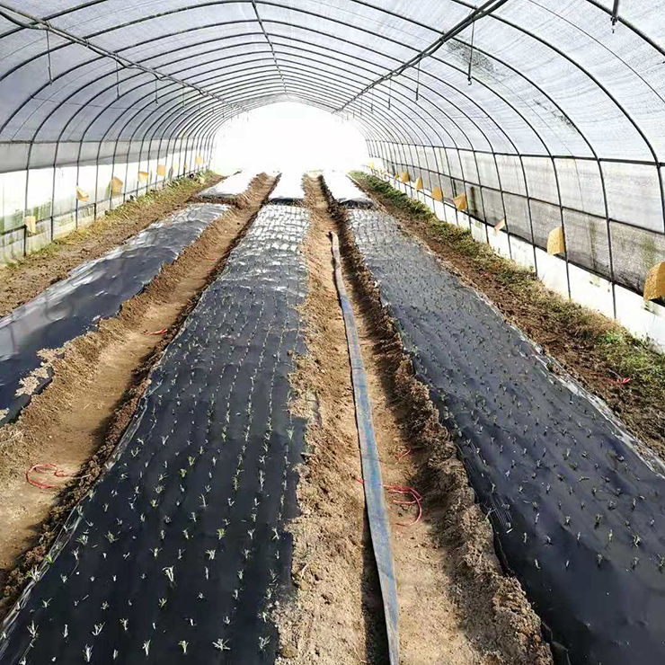 rb88随行版-rb88手机随行版登录入口