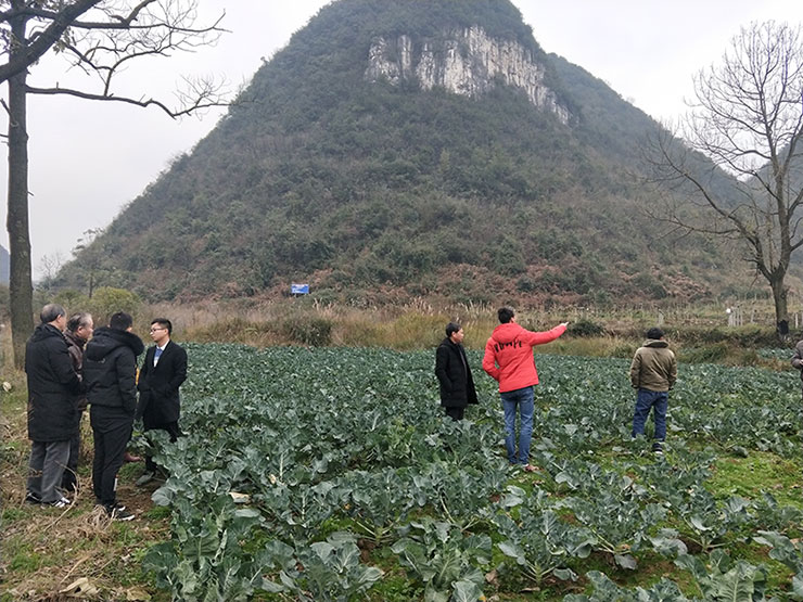 rb88随行版-rb88手机随行版登录入口