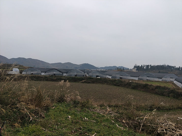 rb88随行版-rb88手机随行版登录入口