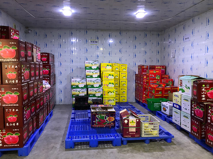 rb88随行版-rb88手机随行版登录入口