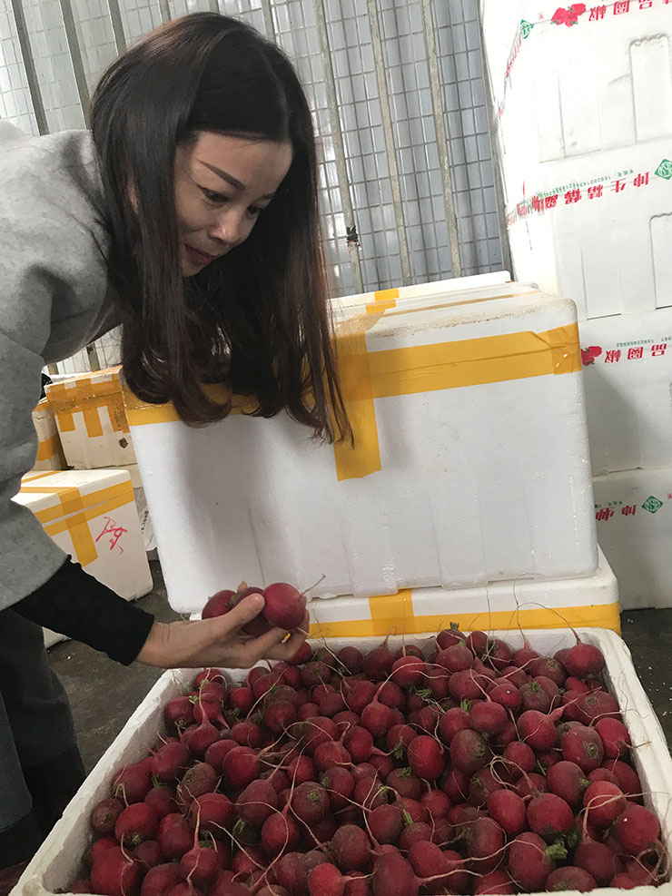 rb88随行版-rb88手机随行版登录入口