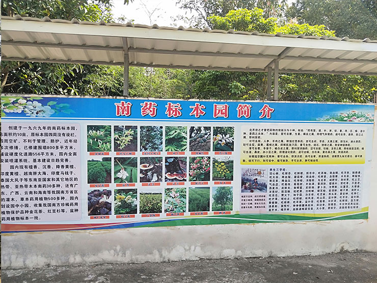 rb88随行版-rb88手机随行版登录入口