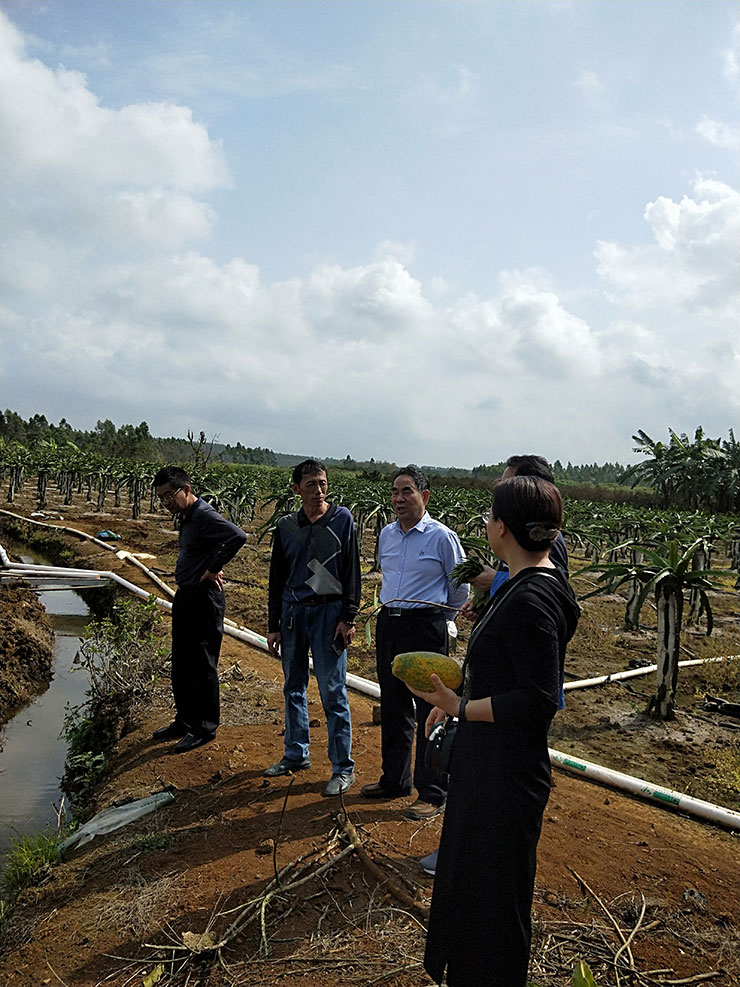 rb88随行版-rb88手机随行版登录入口