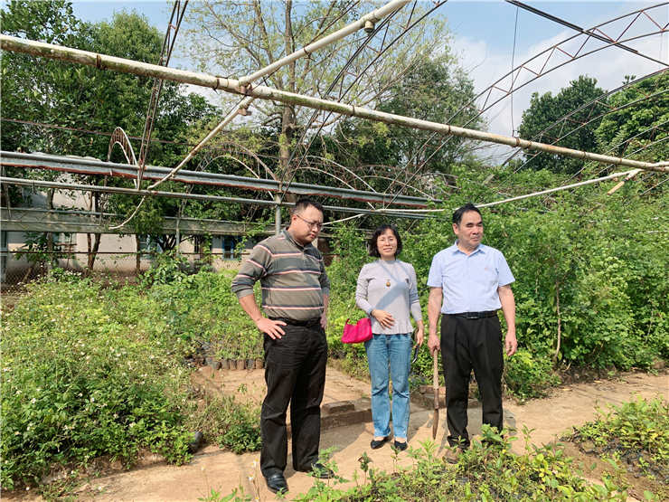 rb88随行版-rb88手机随行版登录入口