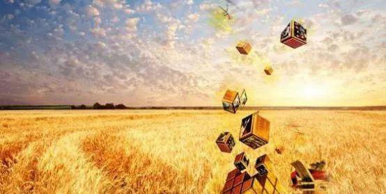 rb88随行版-rb88手机随行版登录入口