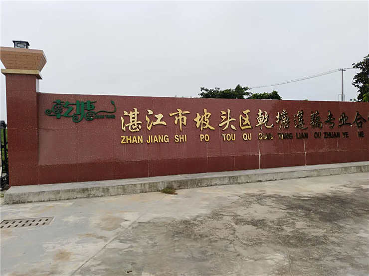 rb88随行版-rb88手机随行版登录入口