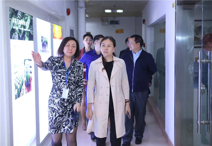 rb88随行版-rb88手机随行版登录入口