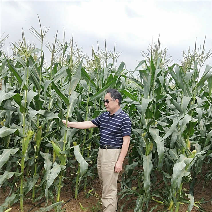 rb88随行版-rb88手机随行版登录入口