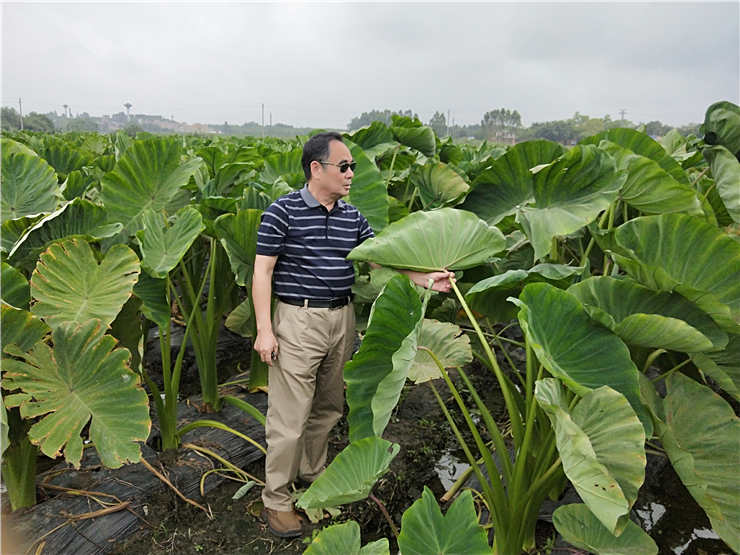 rb88随行版-rb88手机随行版登录入口