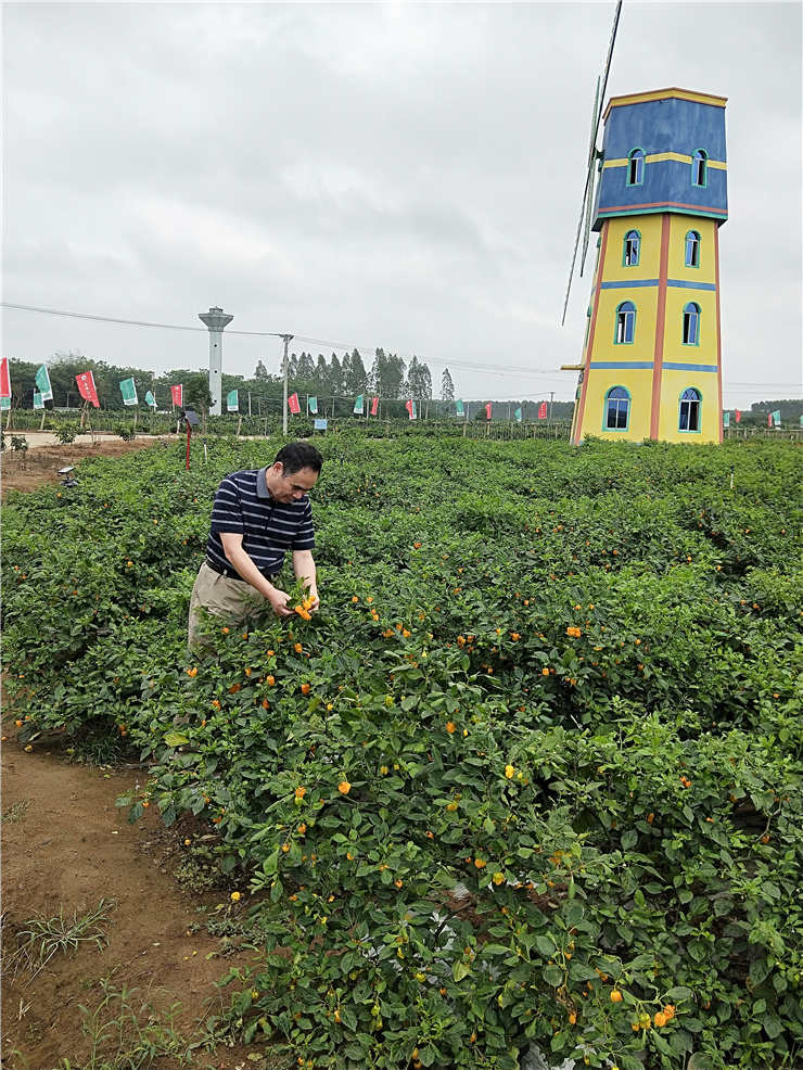 rb88随行版-rb88手机随行版登录入口