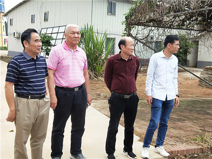 rb88随行版-rb88手机随行版登录入口