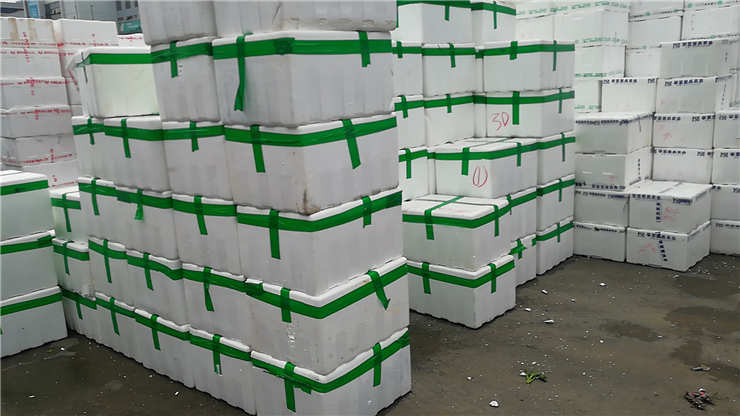 rb88随行版-rb88手机随行版登录入口