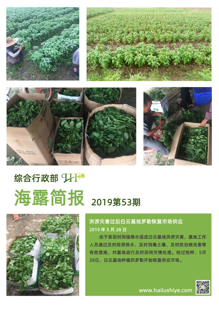 rb88随行版-rb88手机随行版登录入口