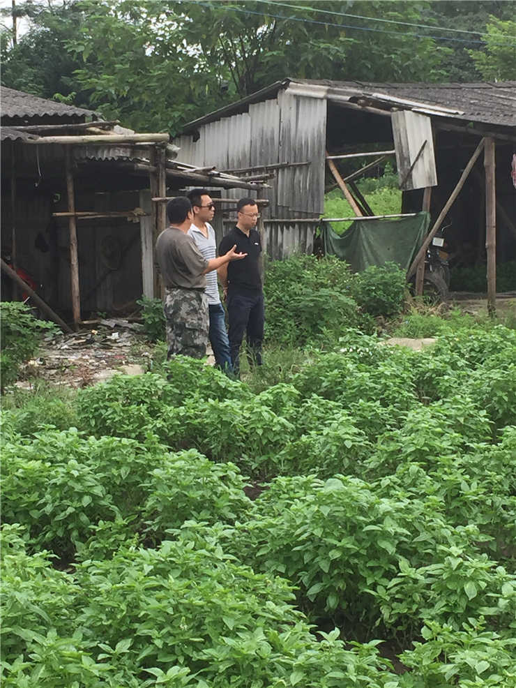 rb88随行版-rb88手机随行版登录入口