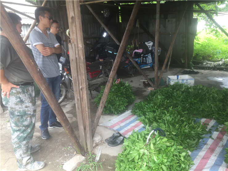 rb88随行版-rb88手机随行版登录入口