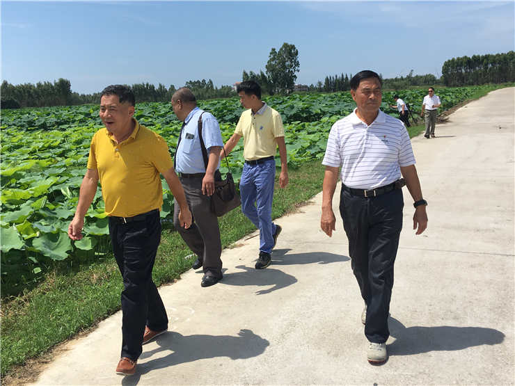 rb88随行版-rb88手机随行版登录入口