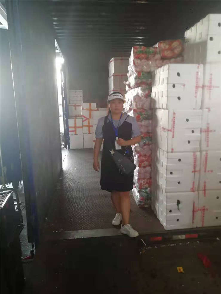 rb88随行版-rb88手机随行版登录入口