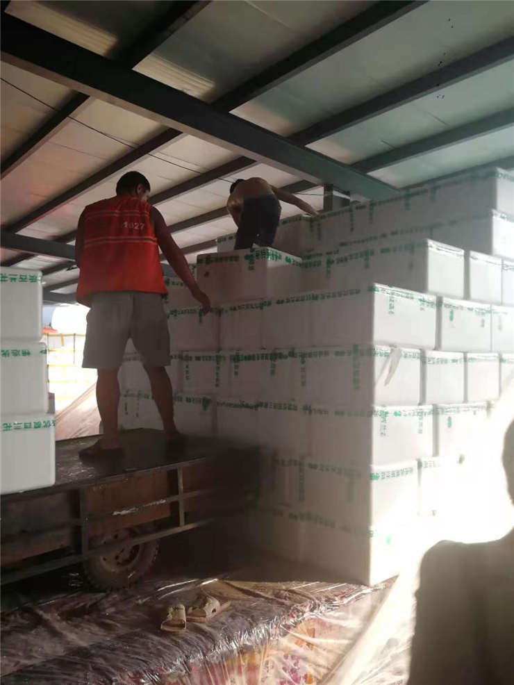 rb88随行版-rb88手机随行版登录入口