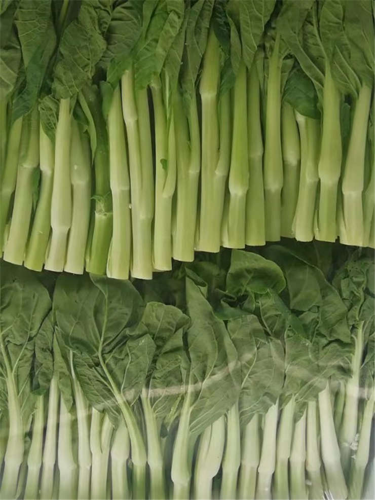 rb88随行版-rb88手机随行版登录入口