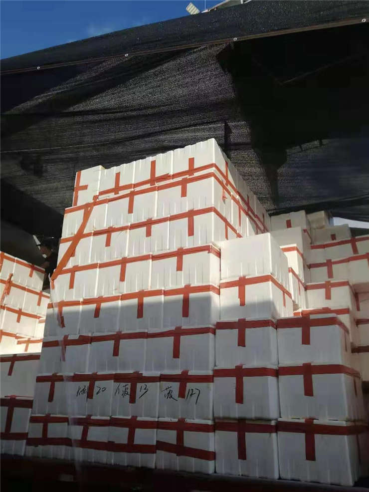 rb88随行版-rb88手机随行版登录入口