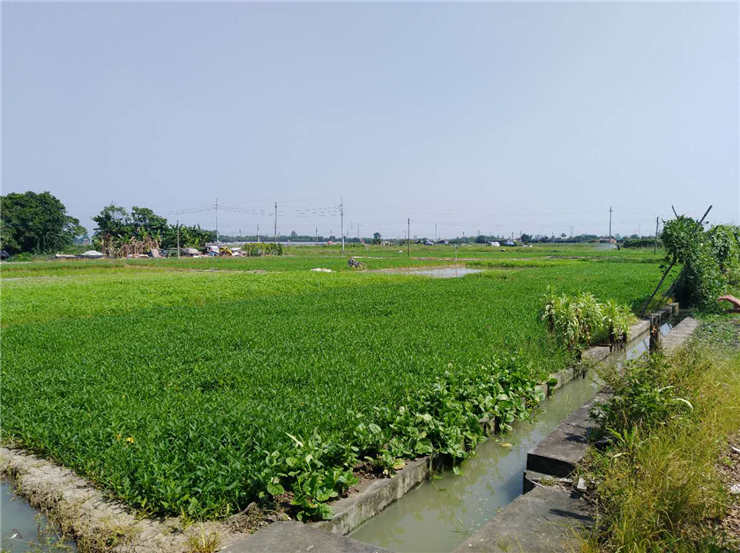 rb88随行版-rb88手机随行版登录入口