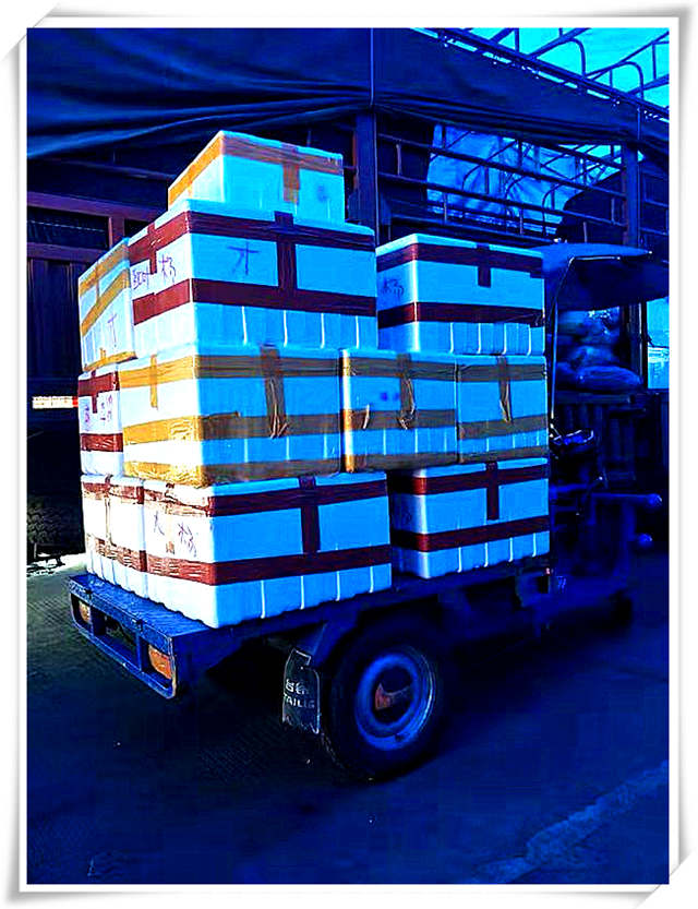 rb88随行版-rb88手机随行版登录入口