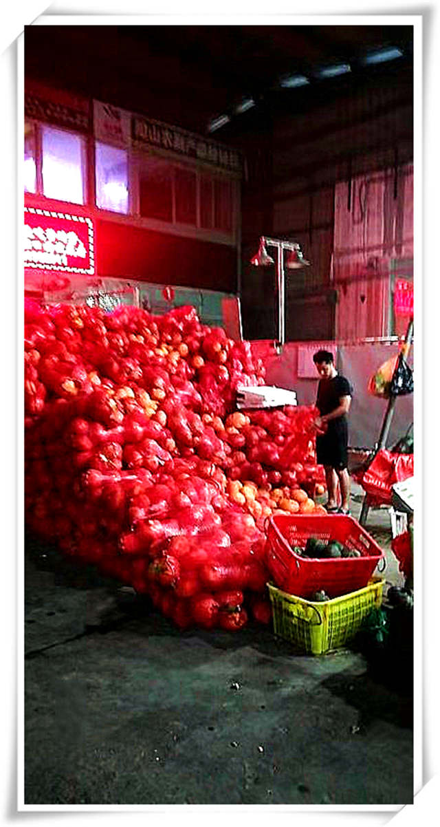 rb88随行版-rb88手机随行版登录入口