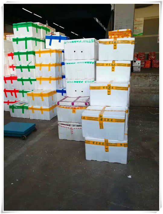 rb88随行版-rb88手机随行版登录入口