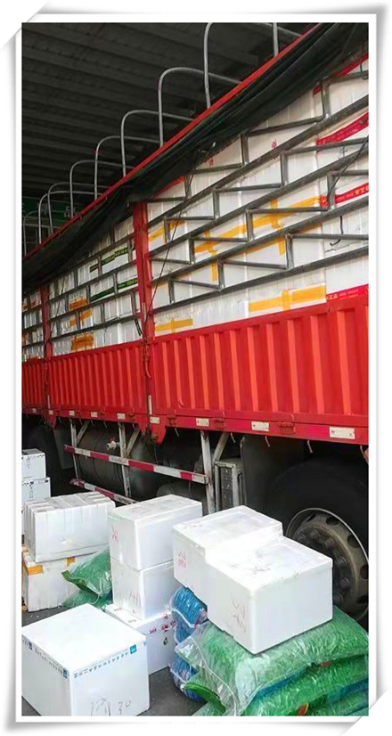 rb88随行版-rb88手机随行版登录入口