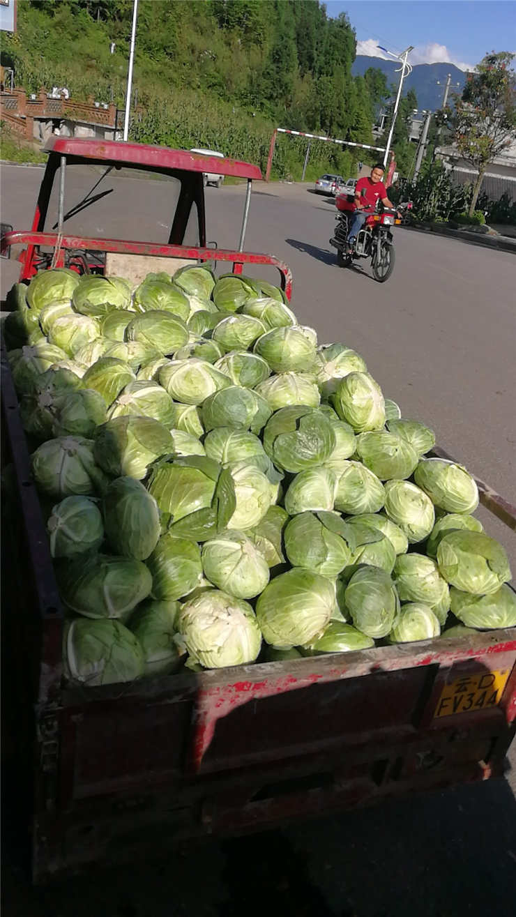 rb88随行版-rb88手机随行版登录入口