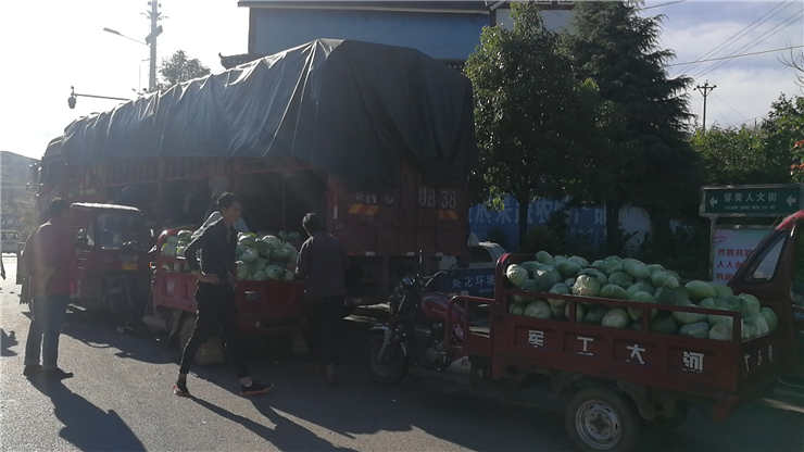 rb88随行版-rb88手机随行版登录入口