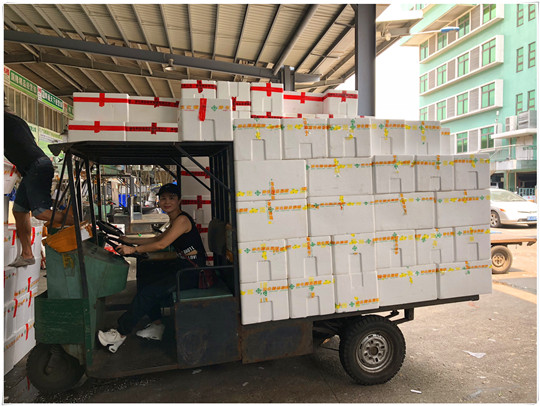 rb88随行版-rb88手机随行版登录入口