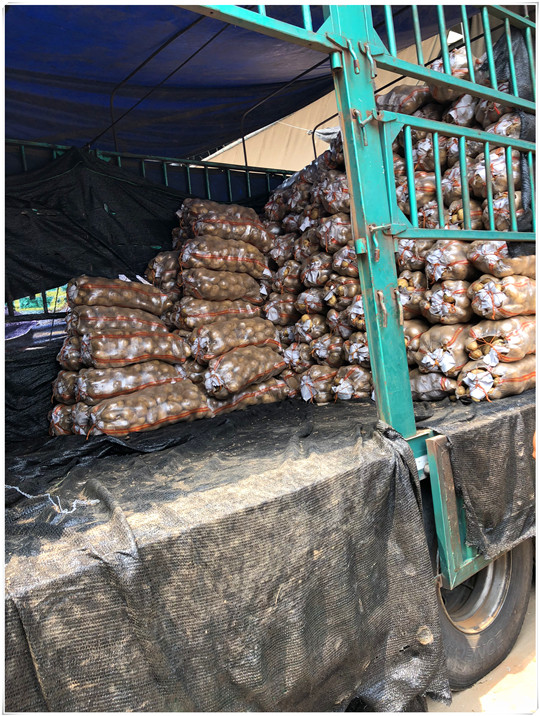 rb88随行版-rb88手机随行版登录入口