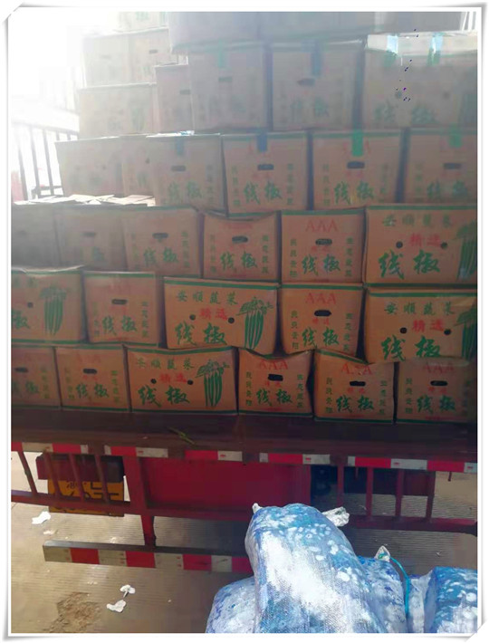 rb88随行版-rb88手机随行版登录入口