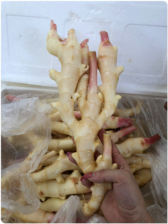 rb88随行版-rb88手机随行版登录入口