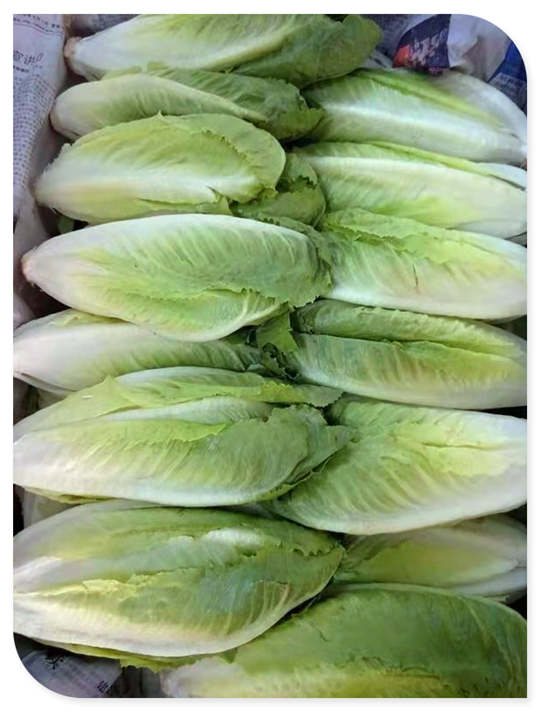 rb88随行版-rb88手机随行版登录入口